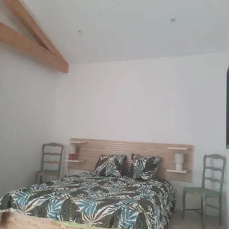 Modern And Authentic House فيلة
